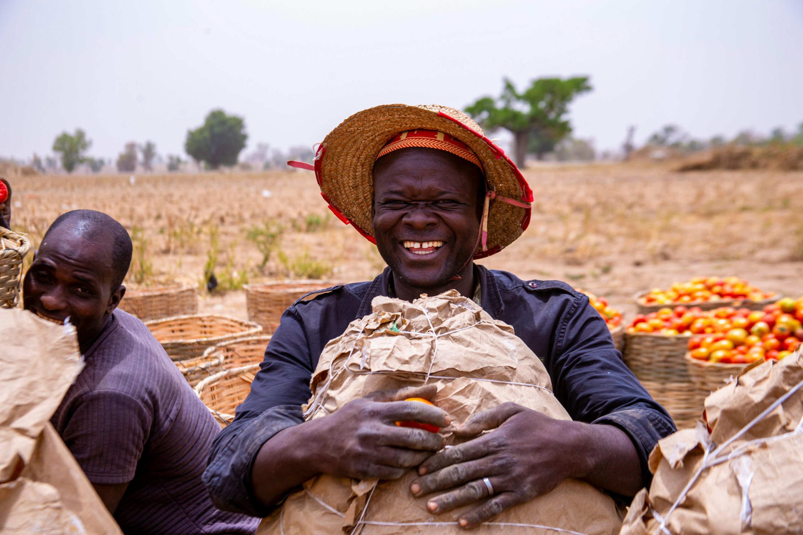 agricultural empowerment ayodamope hope and harvest